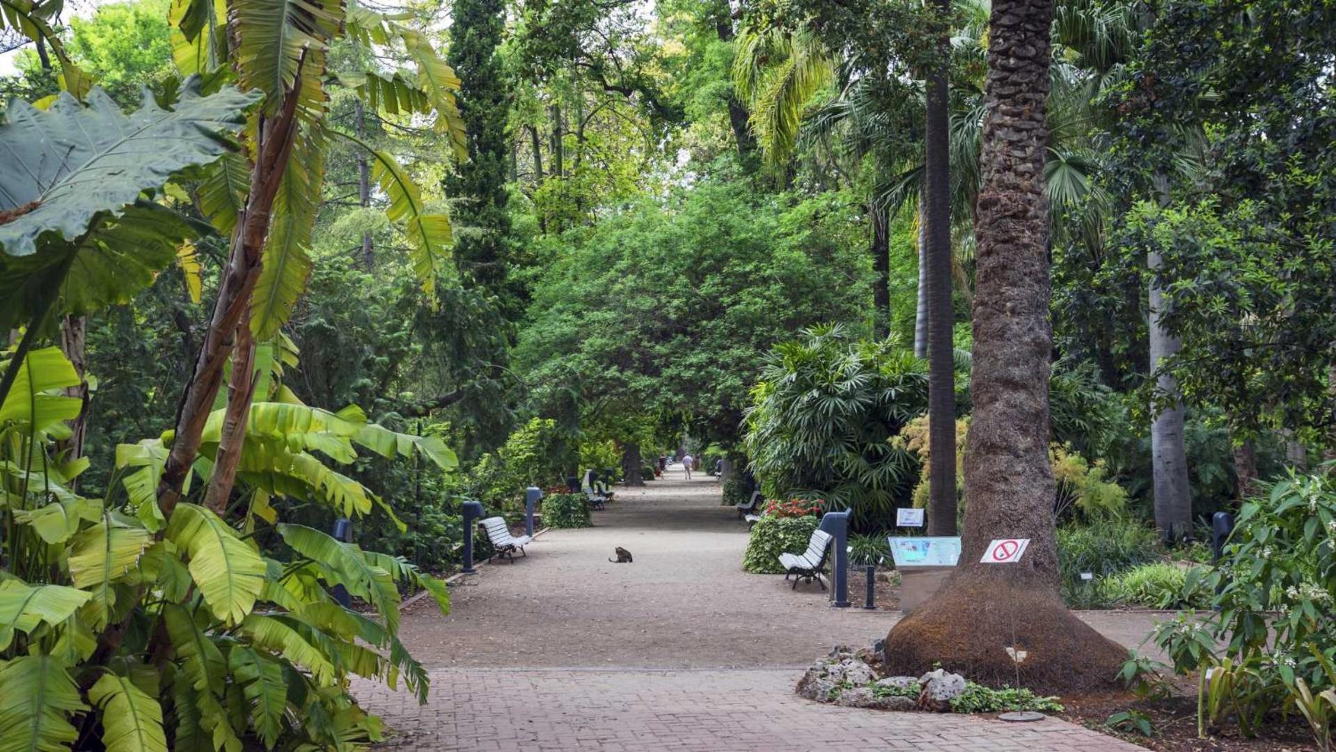 Luxotica Gardens Valencia公寓 外观 照片